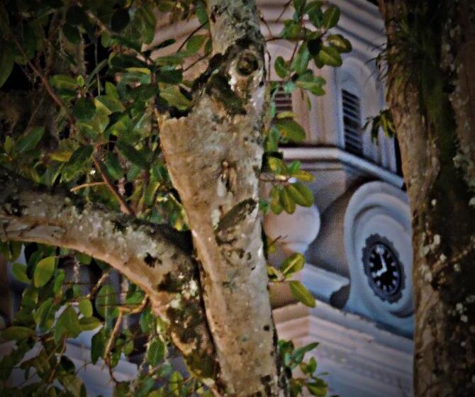 هتل Las Marías Family Home