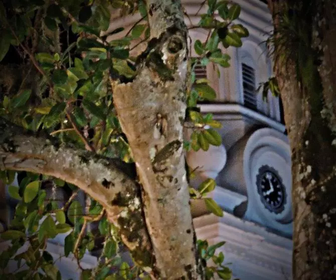 ホテル Las Marías Family Home