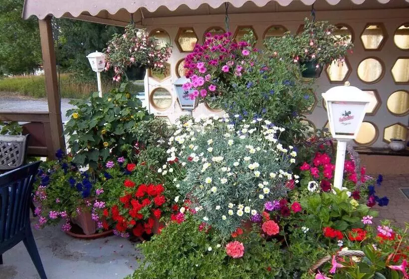 ホテル & Pension Aßmann