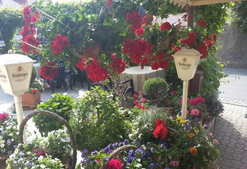 ホテル & Pension Aßmann