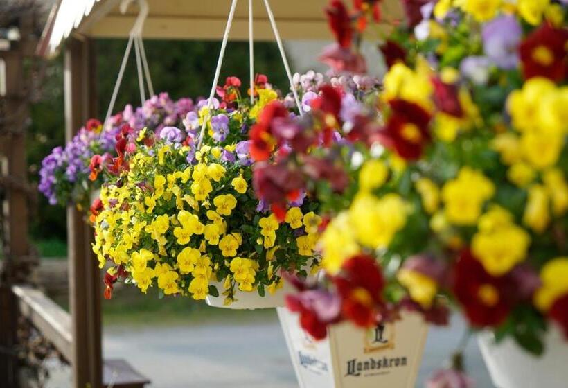 ホテル & Pension Aßmann