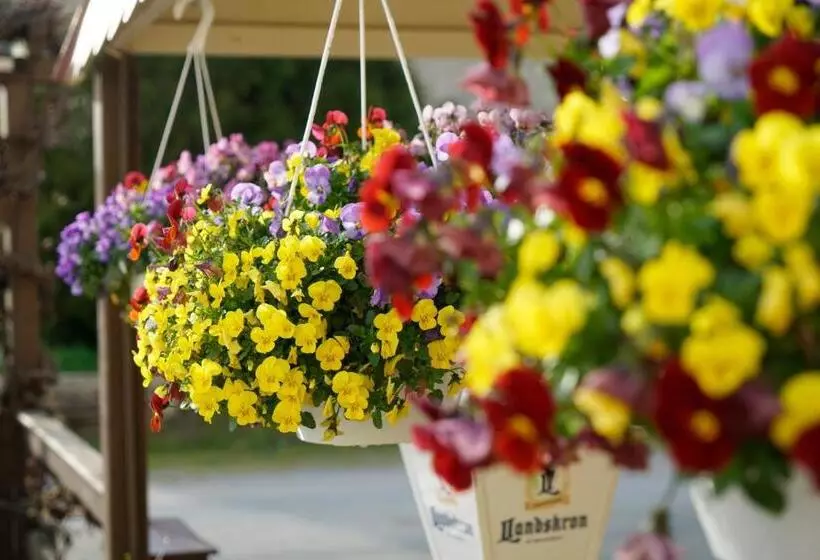 ホテル & Pension Aßmann