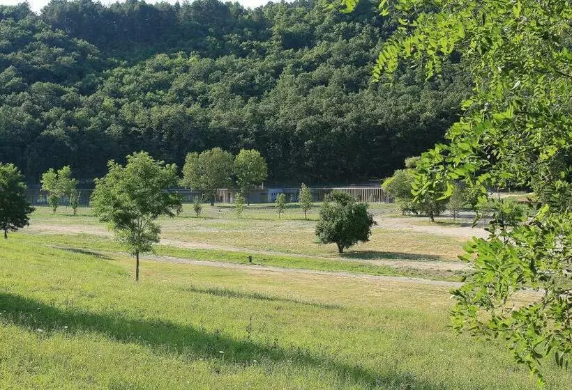 ホテル Szentkút Pilgrim Center