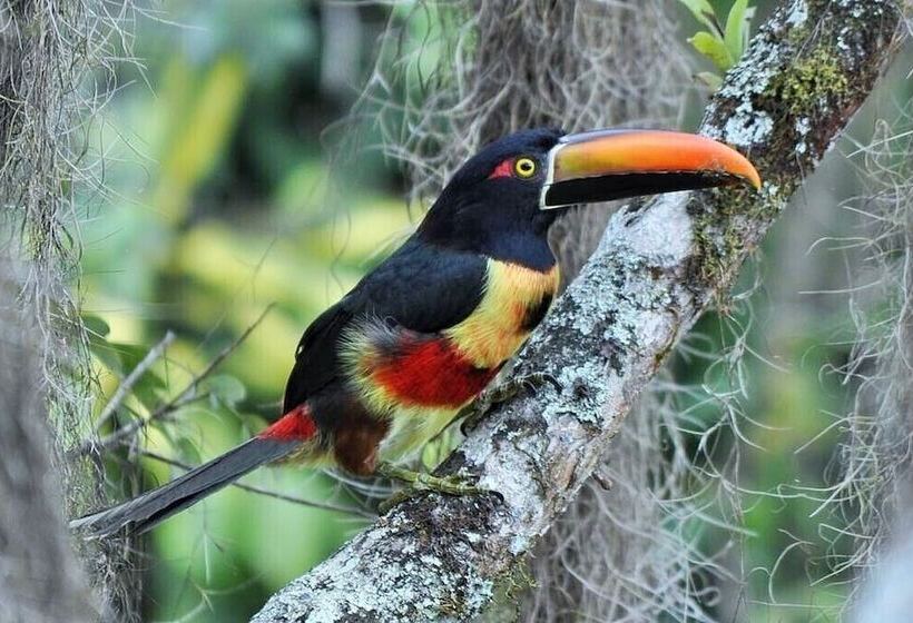 فندق Talamanca Nature Reserve