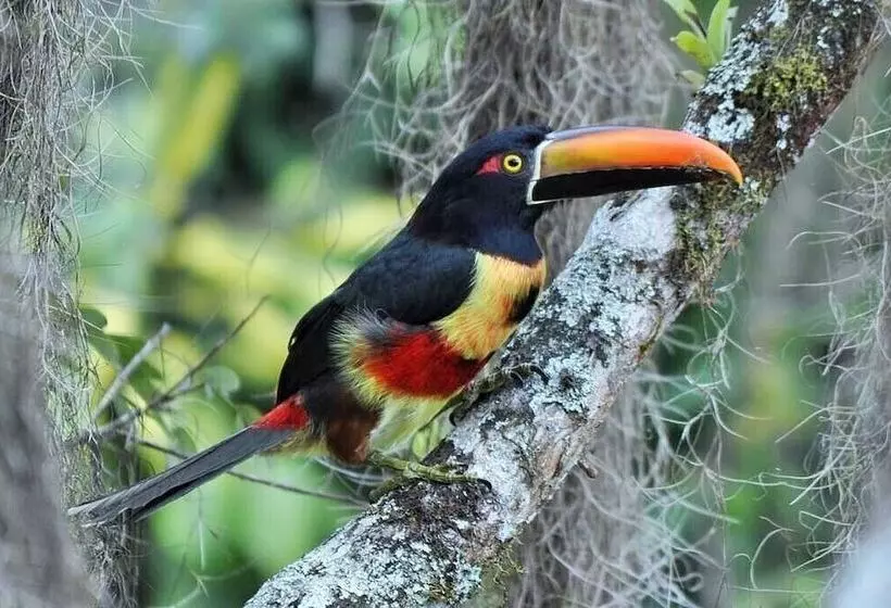 Hotelli Talamanca Nature Reserve