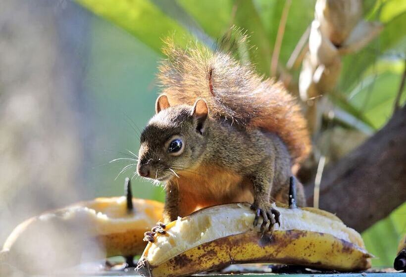 فندق Talamanca Nature Reserve