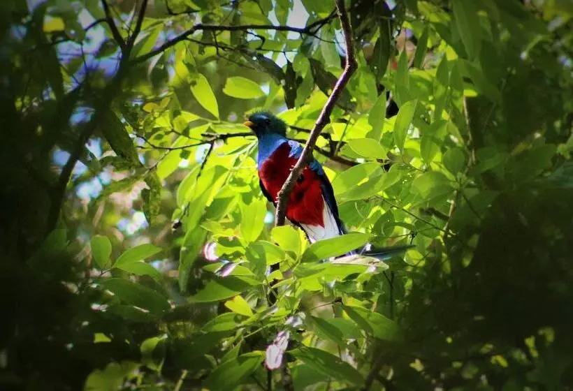 Hotelli Talamanca Nature Reserve