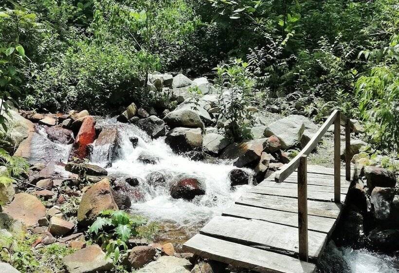 فندق Talamanca Nature Reserve