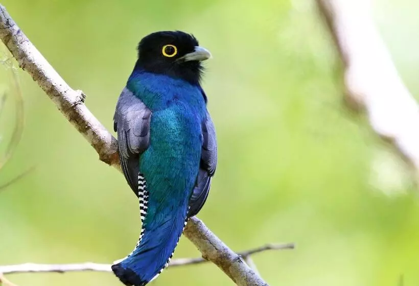 Hotelli Talamanca Nature Reserve