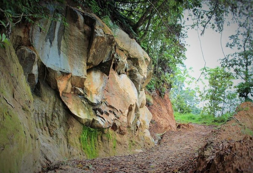 فندق Talamanca Nature Reserve