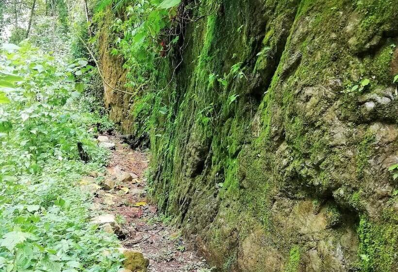 فندق Talamanca Nature Reserve