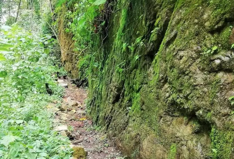 Hotelli Talamanca Nature Reserve