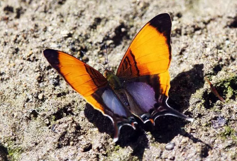 Hotelli Talamanca Nature Reserve