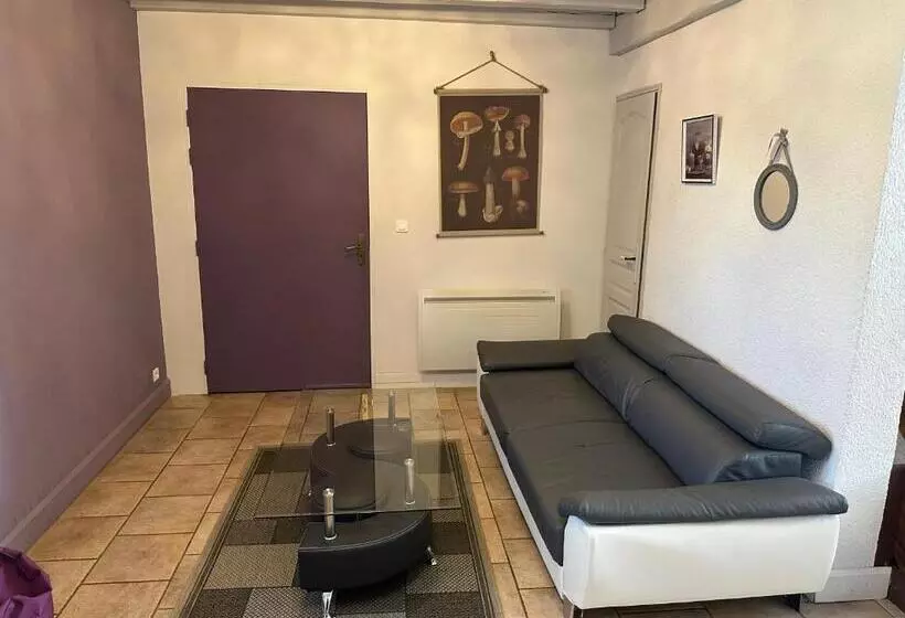 پانسیون Chambres D Hôtes Du Puy D Anché