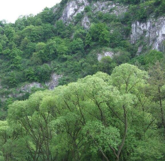 פנסיון Erdész Vendégház