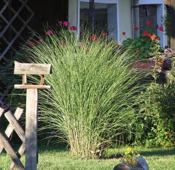 פנסיון Erdész Vendégház