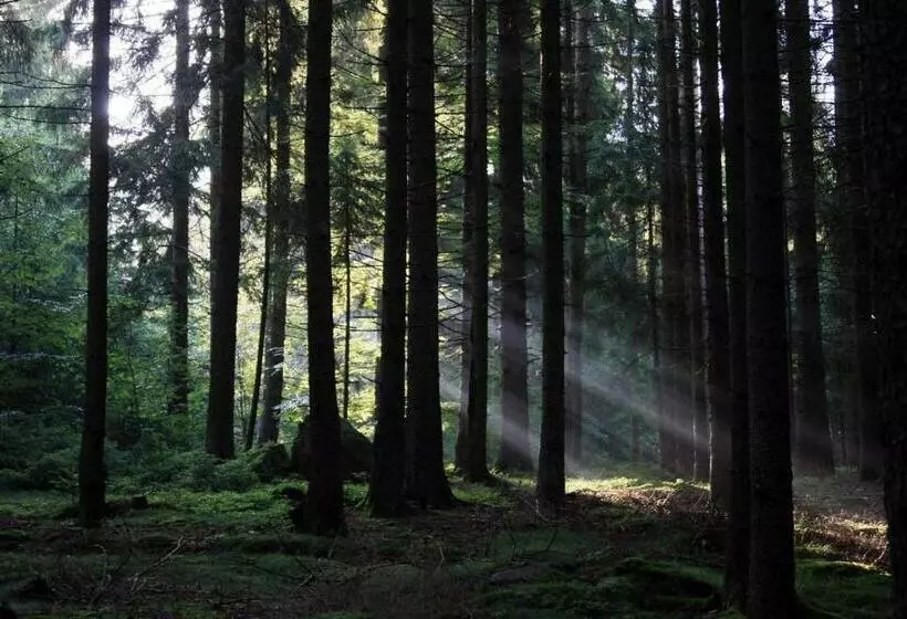 Majatalo Ferienhaus Corinna