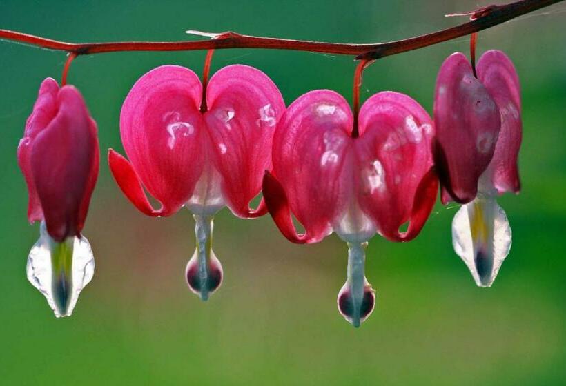 ペンション Ferienhaus Corinna