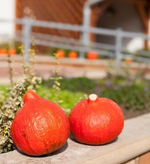 פנסיון Maushaus