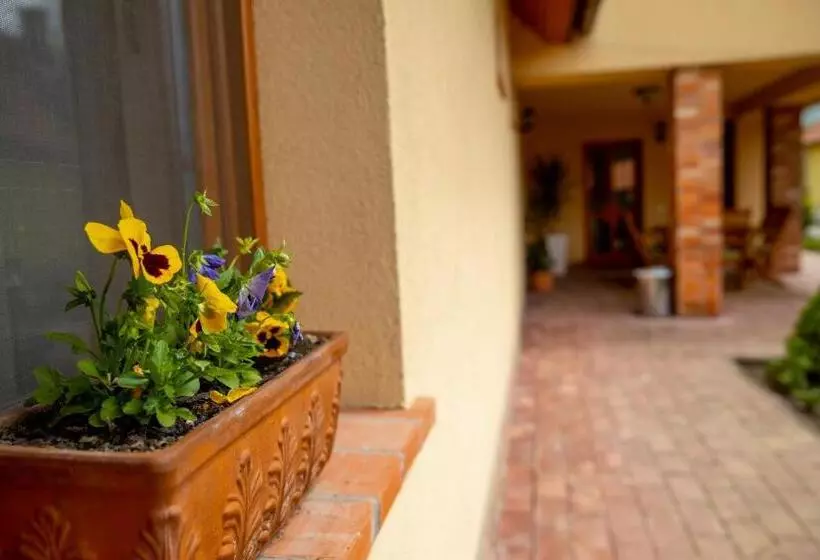 Majatalo Mézes Vendégház és Apiterápiás Központ