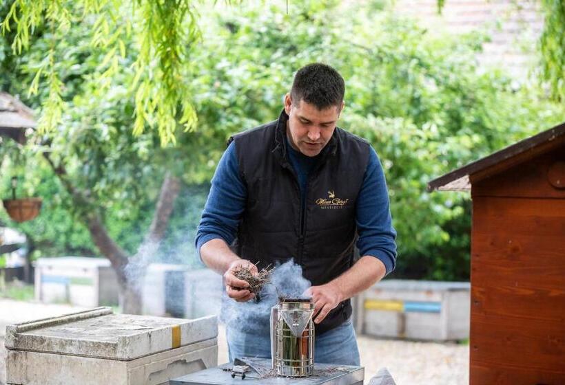פנסיון Mézes Vendégház és Apiterápiás Központ