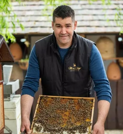 Majatalo Mézes Vendégház és Apiterápiás Központ