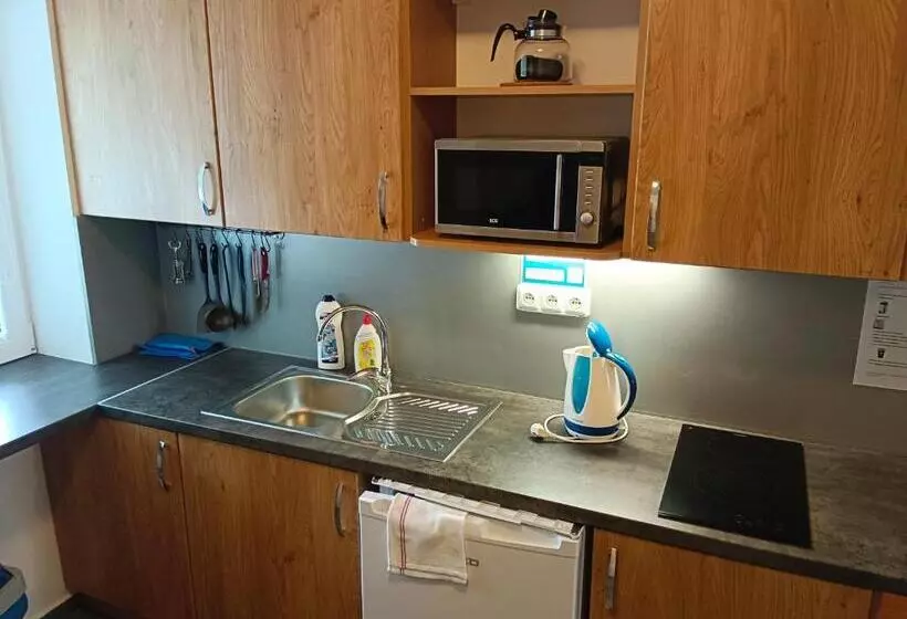 Majatalo Penzion Vincent