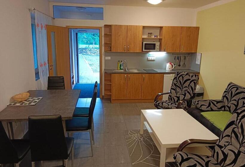 Пансион Penzion Vincent