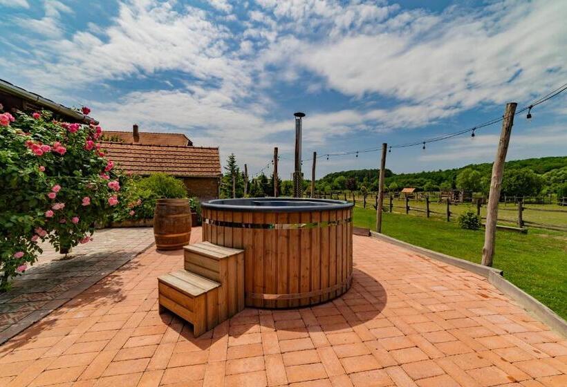 펜션 Szellő Porta