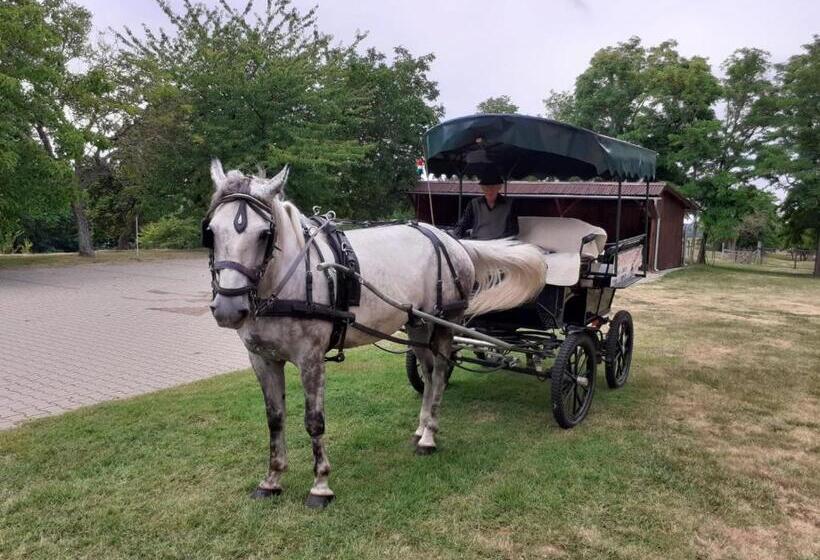 펜션 Vadaspuszta Vendeghaz