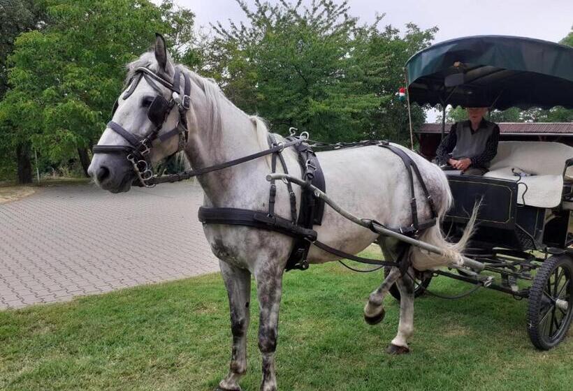 펜션 Vadaspuszta Vendeghaz