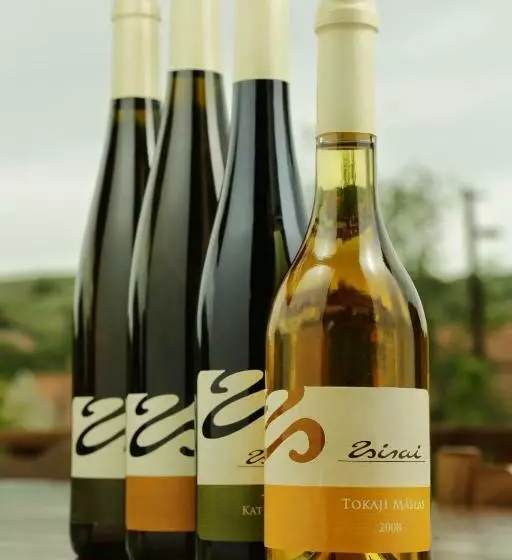 Majatalo Zsirai Guest House