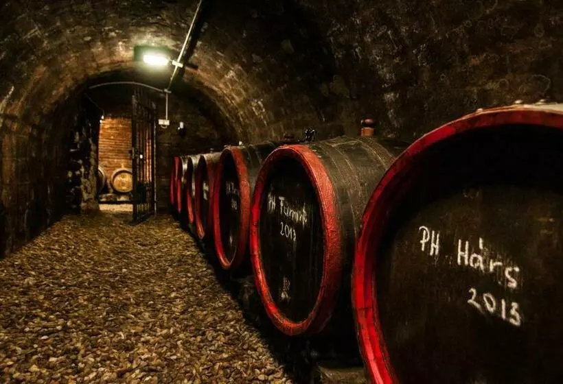 Majatalo Zsirai Guest House