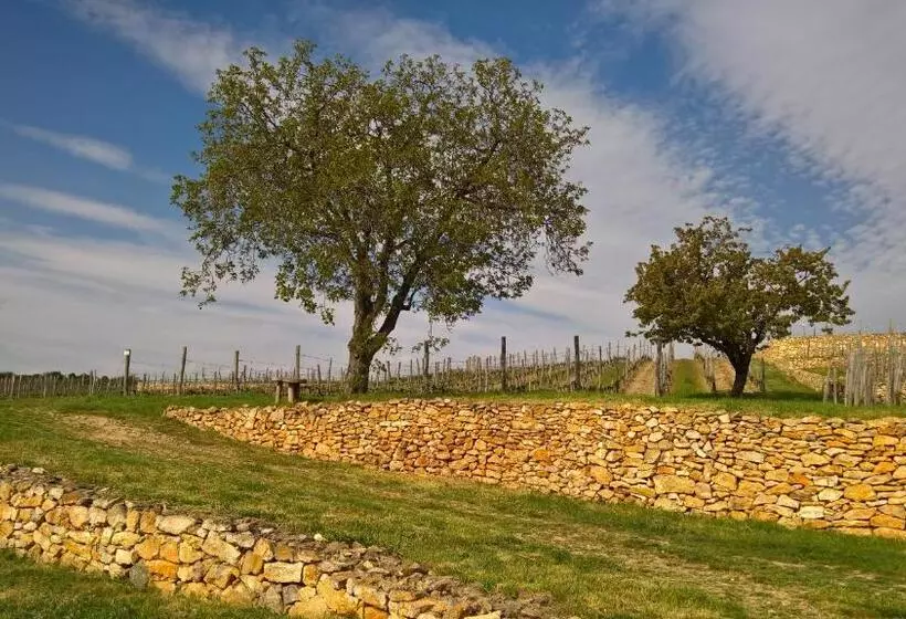 Majatalo Zsirai Guest House