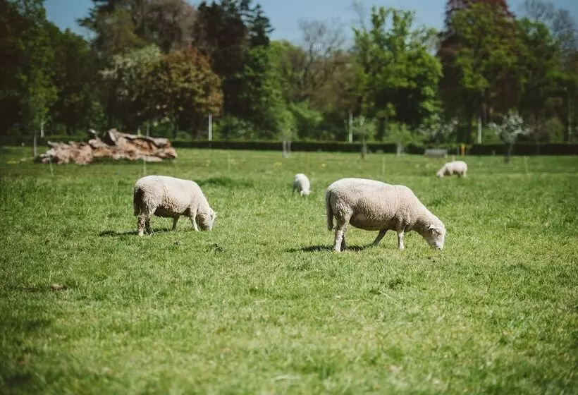 Hotel Vaeshartelt Maastricht