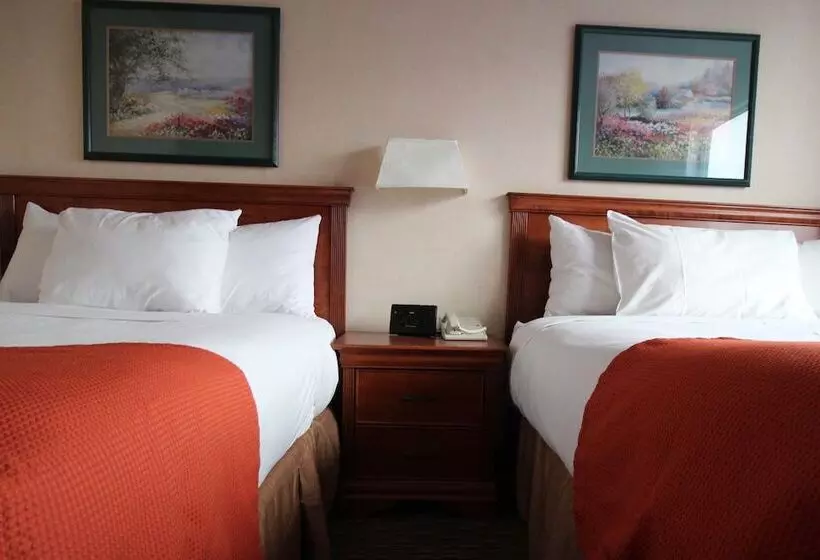 호텔 Chrome Montreal Centreville