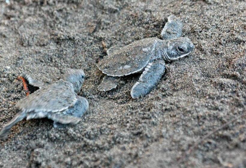 호텔 Evergreen Lodge