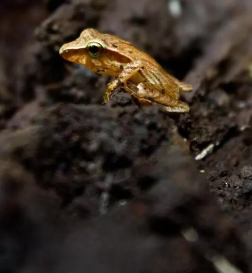 ホテル Evergreen Lodge