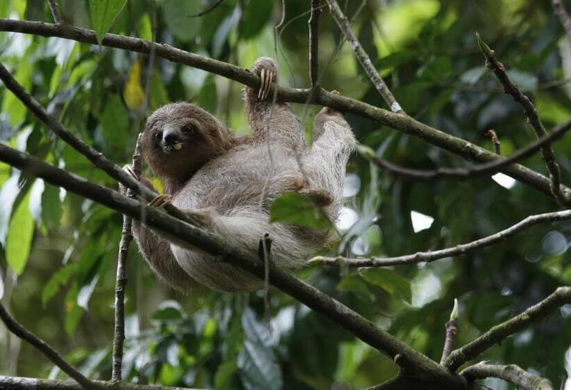 호텔 Evergreen Lodge