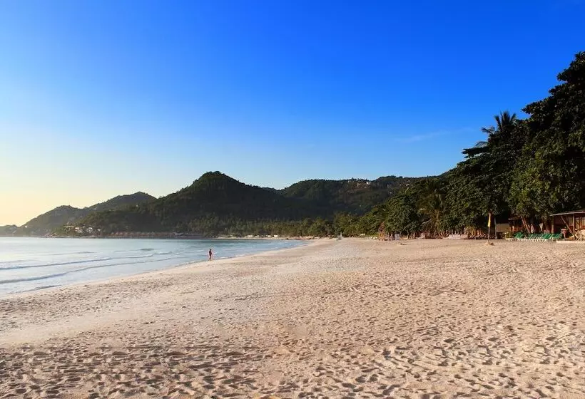 ホテル First Bungalow Beach Resort