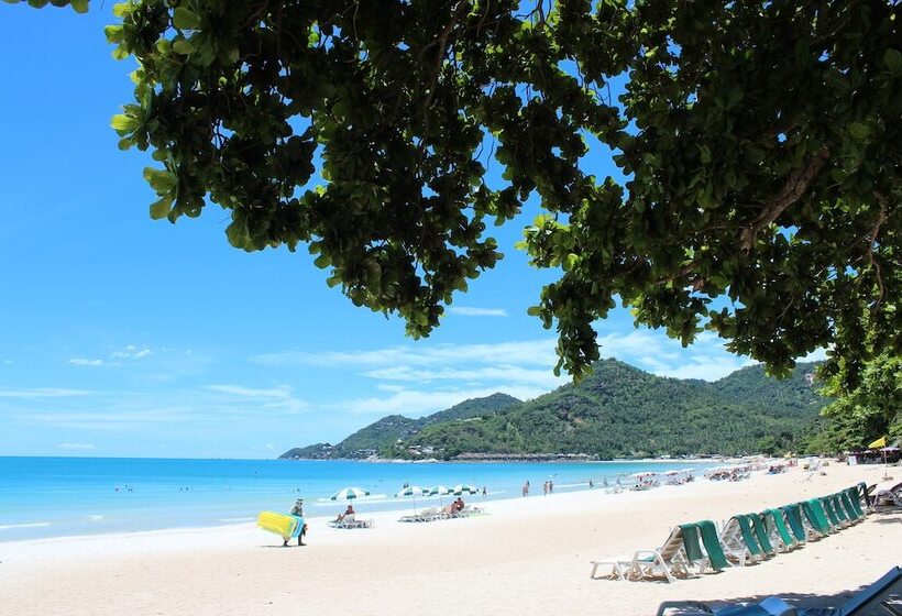 هتل First Bungalow Beach Resort