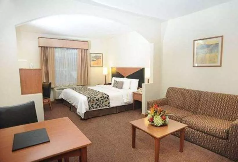 酒店 Sleep Inn Paseo Las Damas