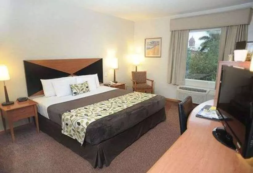 酒店 Sleep Inn Paseo Las Damas