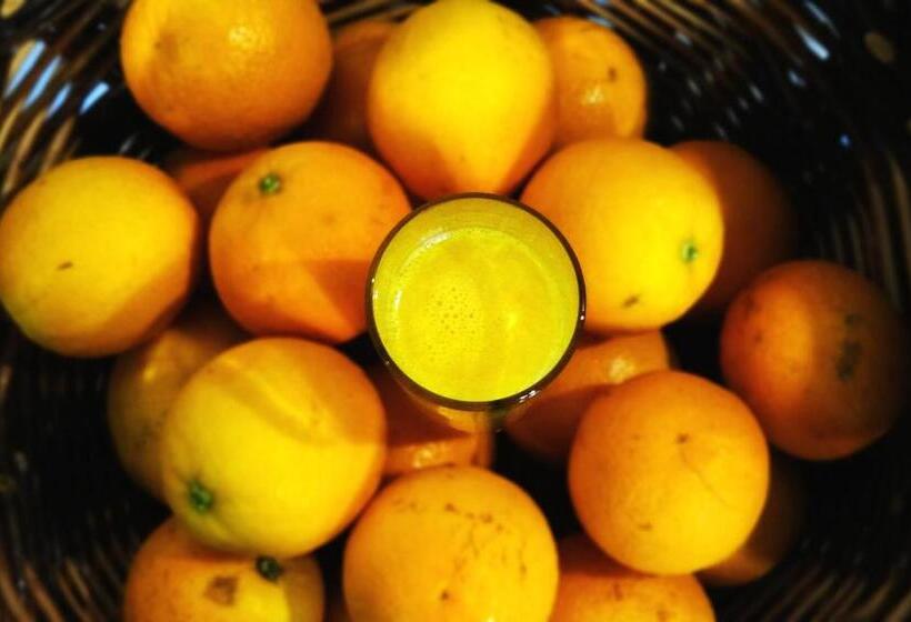 호텔 Solar Da Bica