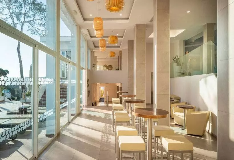 Marsenses Ferrera Blanca