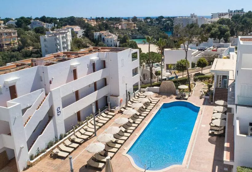 Marsenses Ferrera Blanca