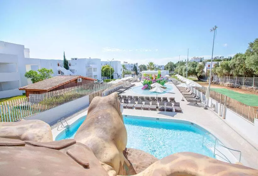 Marsenses Ferrera Blanca