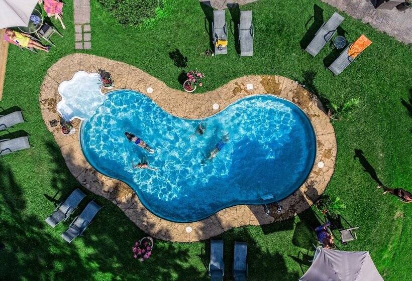 فندق صغير Auberge Villa Bellerive