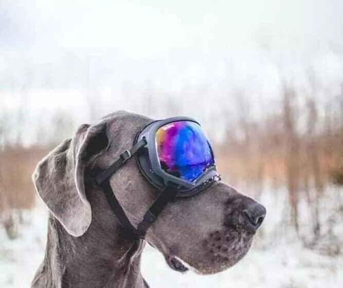 Auberge Villa Bellerive