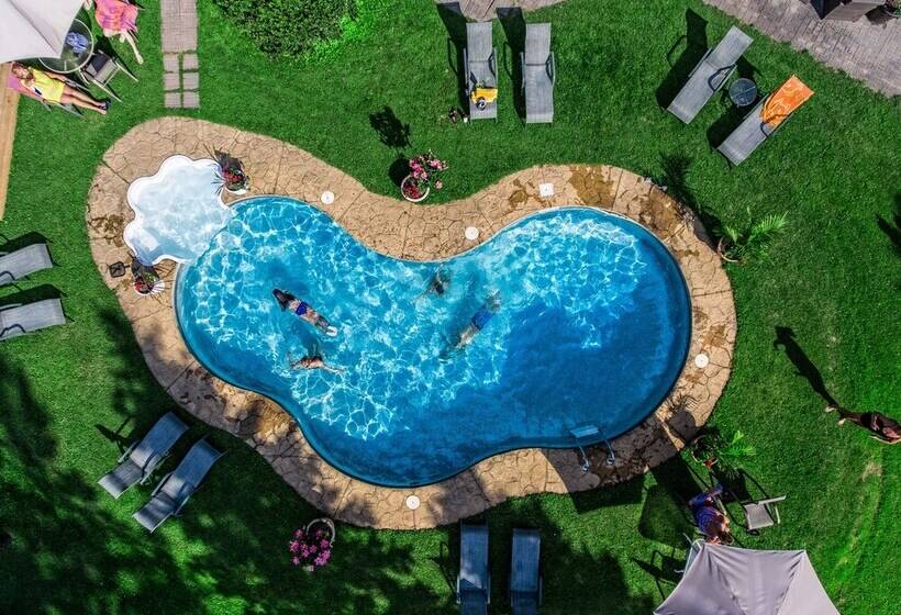 فندق صغير Auberge Villa Bellerive